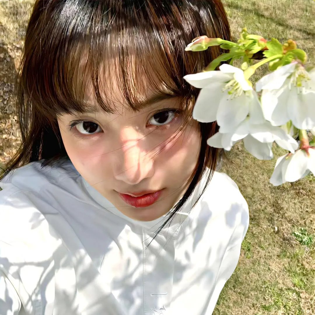 失踪的邦妮